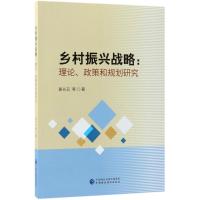 正版新书]乡村振兴战略:理论、政策和规划研究姜长云9787509582