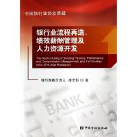 正版新书]银行业流程再造绩效薪酬管理及人力资源开发潘光伟9787