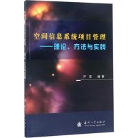 正版新书]空间信息系统项目管理:理论、方法与实践芦雪97871181