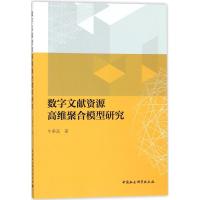 正版新书]数字文献资源高维聚合模型研究牛奉高9787520307826