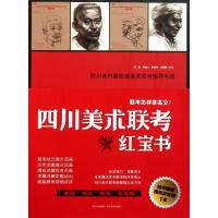 正版新书]四川美术院校联考红宝书段健9787541046759