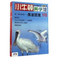 正版新书]小牛顿科学馆(分册百科续集115-120共6册)台湾牛顿出版