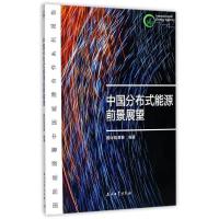 正版新书]中国分布式能源前景展望国际能源署9787518322282