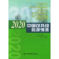 正版新书]2020中国可持续能源情景周大地9787801637406