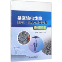 正版新书]架空输电线路隐患.缺陷及故障表象辨识图册苏奕辉 梁伟