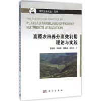 正版新书]高原农田养分高效利用理论与实践雷宝坤9787030441980