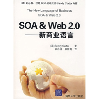 正版新书]SOA&Web20.---新商业语言(美)卡特 袁月杨 麻丽莉97873