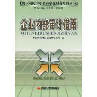 正版新书]企业内部审计指南张庆龙 等9787802213159