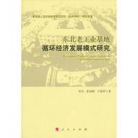 正版新书]东北老工业基地循环经济发展模式研究尚杰. 姜国刚. 于