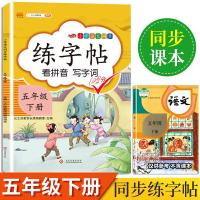 正版新书]2020新版小学五年级下册同步练字帖人教版部编语文同步