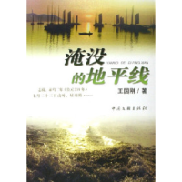 正版新书]淹没的地平线王国刚9787505951822