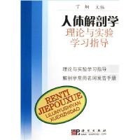 正版新书]人体解剖学理论与实验学习指导丁炯9787030185242