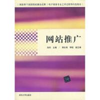 正版新书]网站推广:国家骨干高职院校建设成果/电子商务专业工作