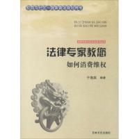 正版新书]法律专家教您如何消费维于海英9787547227329