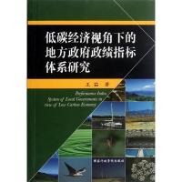 正版新书]低碳经济视角下的地方政府政绩指标体系研究王茹 著97