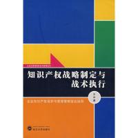 正版新书]知识产战略制定与战术执行王冰9787307058620