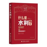 正版新书]什么是水利?张弛9787568530019