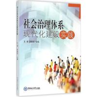 正版新书]社会治理体系现代化建设实践王琪9787567008922