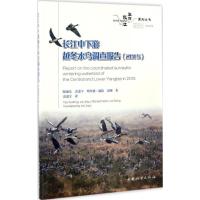 正版新书]长江中下游越冬水鸟调查报告.2015陶旭东9787503889097