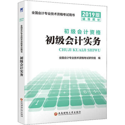 正版新书]天一新奥 初级会计实务 2019版全国会计专业技术资格考