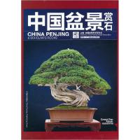 正版新书]中国盆景赏石2013-1中国盆景艺术家协会 主编97875038