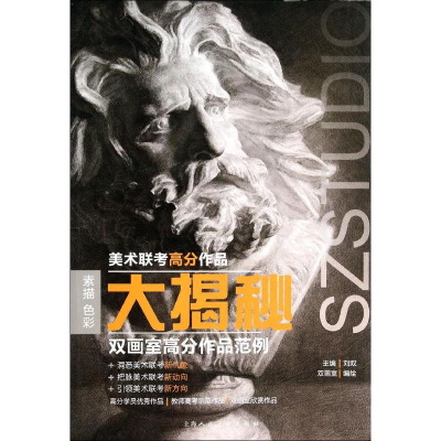 正版新书]双画室高分作品范例-美术联考高分作品大揭秘刘双97875