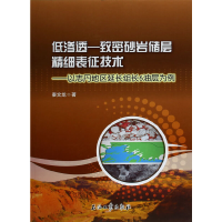 正版新书]低渗透-致密砂岩储层精细表征技术--以志丹地区延长组