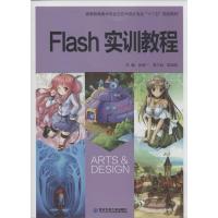 正版新书]Flash实训教程无9787560557816