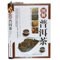 正版新书]精装彩色版图解普洱茶不详9787515213941