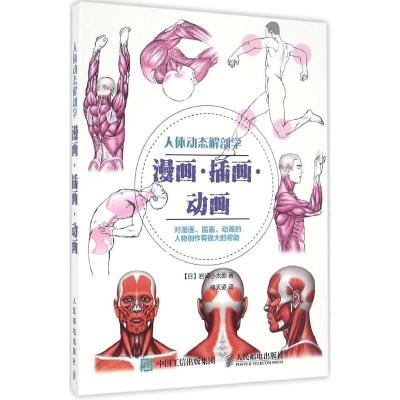 正版新书]人体动态解剖学:漫画·插画·动画岩崎小太郎9787115421