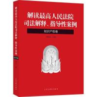 正版新书]解读最高人民法院司法解释、指导性案例(知识产权卷)