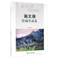 正版新书]施文潮绘画作品集绘画:施文潮9787567221345