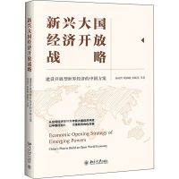 正版新书]新兴大国经济开放战略 建设开放型世界经济的中国方案