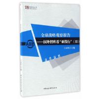 正版新书]全球战略观察报告——国外智库看亚投行II王灵桂著9787