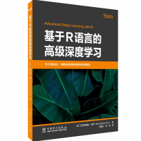 正版新书]基于R语言的高级深度学习(美)巴拉坦德拉·拉伊97875198