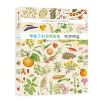 正版新书]给孩子的自然图鉴:植物图鉴(韩)沈兆媛9787508670560