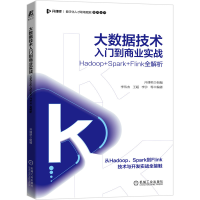 正版新书]大数据技术入门到商业实战 Hadoop+Spark+Flink全解析