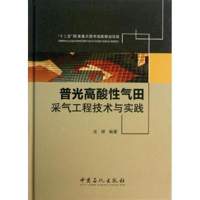 正版新书]普光高酸性气田采气工程技术与实践沈琛9787511421586