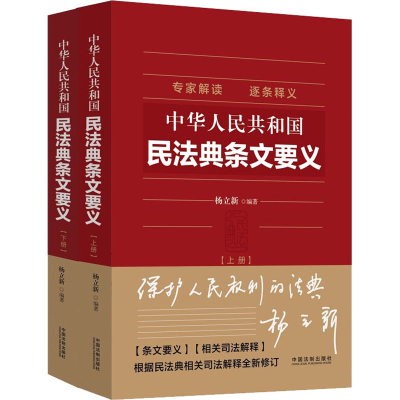 正版新书]中华人民共和国民法典条文要义(全2册)杨立新978752162