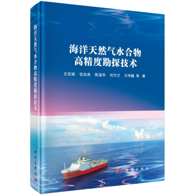 正版新书]海洋天然气水合物高精度勘探技术王宏斌//伍忠良//陈道