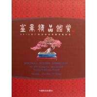 正版新书]盆景精品鉴赏(2010年广州国际盆景邀请展实录)(精)吴劲