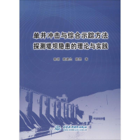 正版新书]单井冲击与综合示踪方法探测堤坝隐患的理论与实践林统