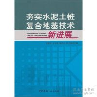 正版新书]夯实水泥土桩复合地基技术新进展张振拴 %王占雷97878