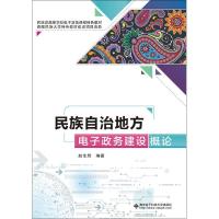 正版新书]民族自治地方电子政务建设概论赵生辉9787560646664