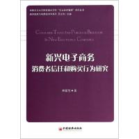 正版新书]新兴电子商务消费者信任和购买行为研究/经济组织与制