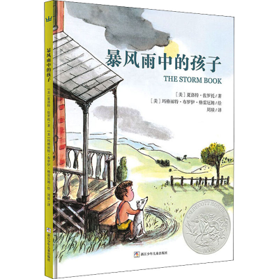 正版新书]暴风雨中的孩子(美)夏洛特·佐罗托9787534292989