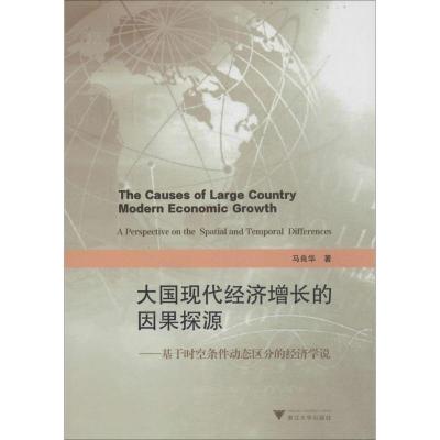 正版新书]大国现代经济增长的因果探源:基于时空条件动态区分的