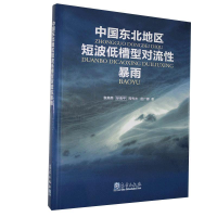 正版新书]中国东北地区短波低槽型对流性暴雨袁美英等9787502972