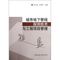 正版新书]城市地下管线探测技术与工程项目管理洪立波9787112140