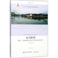 正版新书]电力转型:风能、太阳能和灵活电力系统的经济性国际能